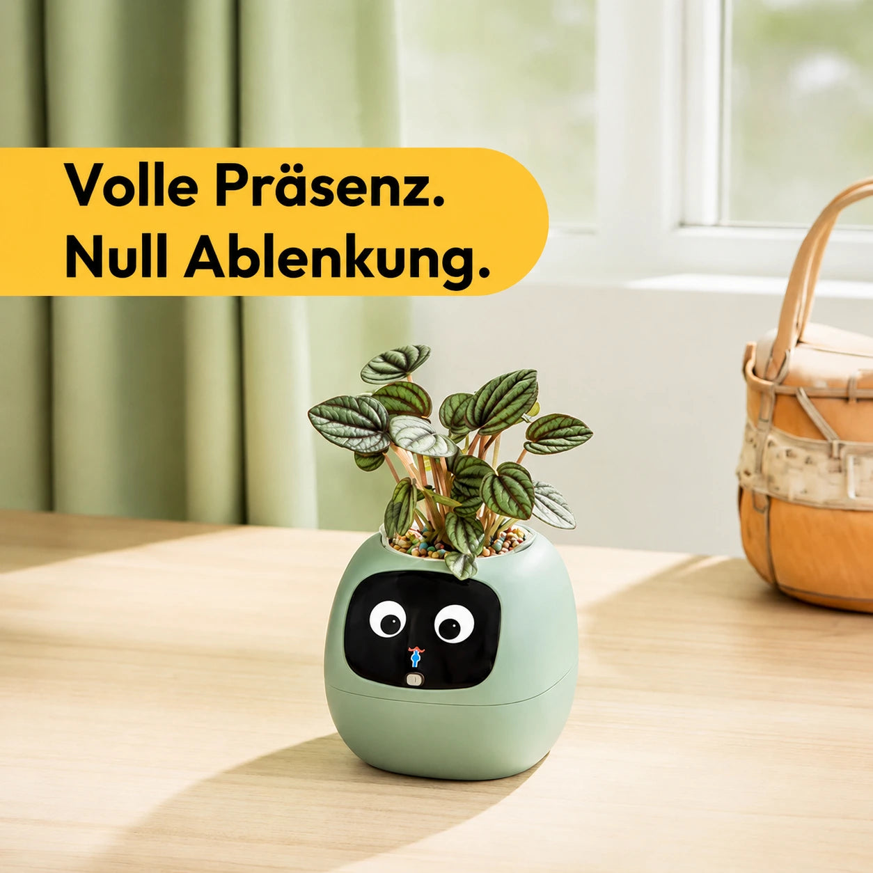 Pflanzi – Smart Plant Buddy