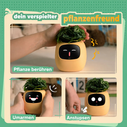 Pflanzi – Smart Plant Buddy