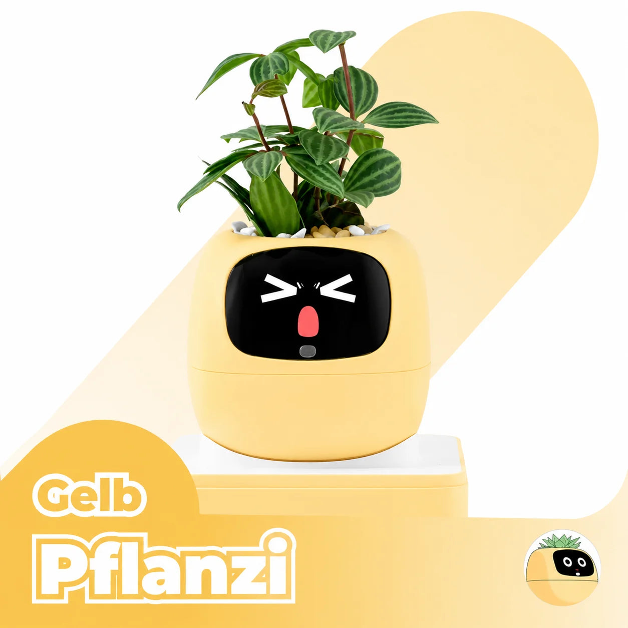 Pflanzi – Smart Plant Buddy