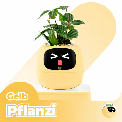 Pflanzi – Smart Plant Buddy