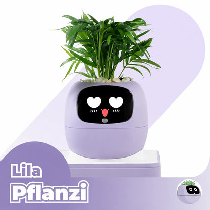 Pflanzi – Smart Plant Buddy