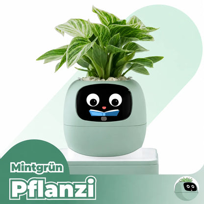 Pflanzi – Smart Plant Buddy