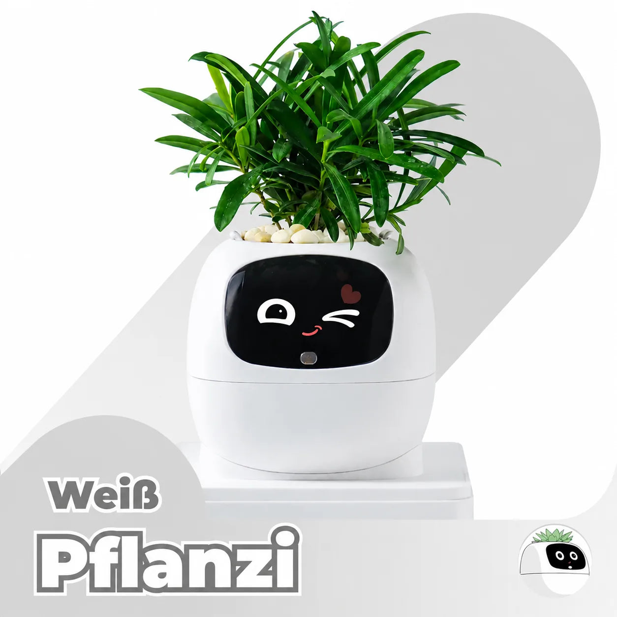 Pflanzi – Smart Plant Buddy