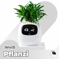 Weiß